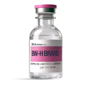 BW H-Brand